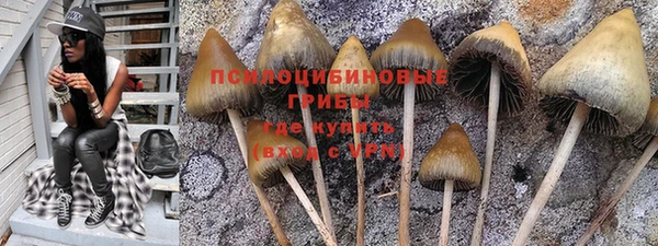прущий лед Заводоуковск