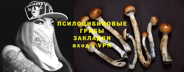 метадон Заволжье