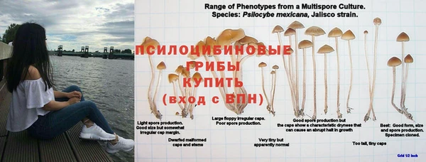 первитин Заволжск