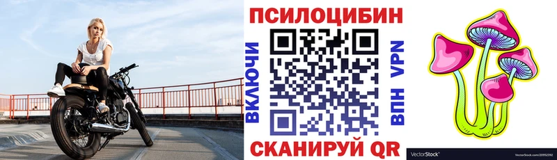 Купить  Белоозёрский  Псилоцибиновые грибы мухоморы 